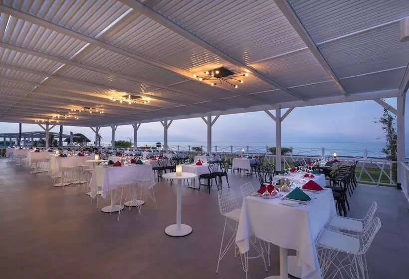 Hotel Club Marco Polo   Premium All Inclusive