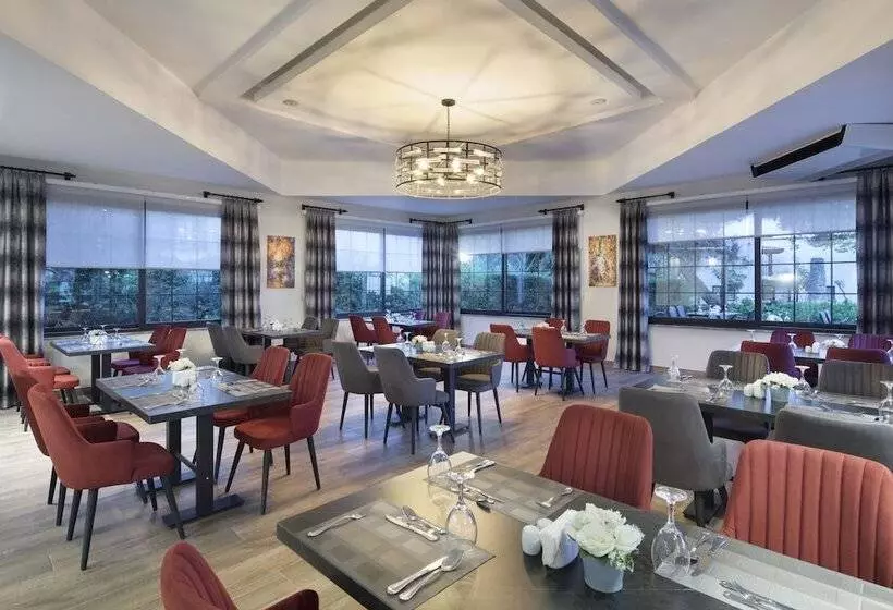 Hotel Club Marco Polo   Premium All Inclusive