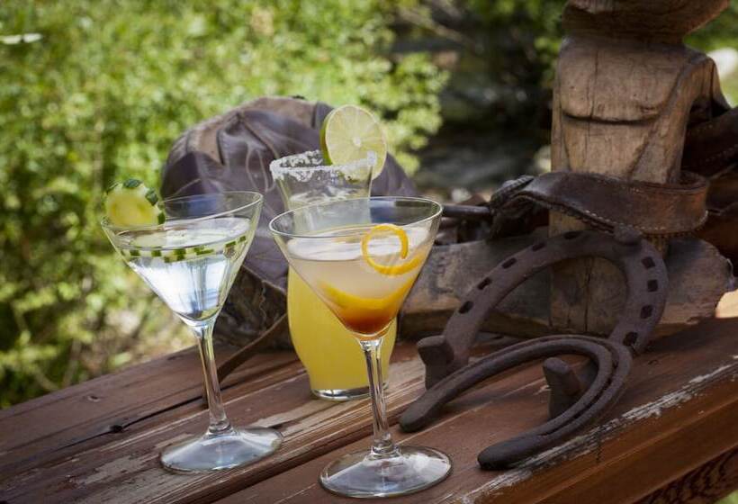 منتجع 320 Guest Ranch