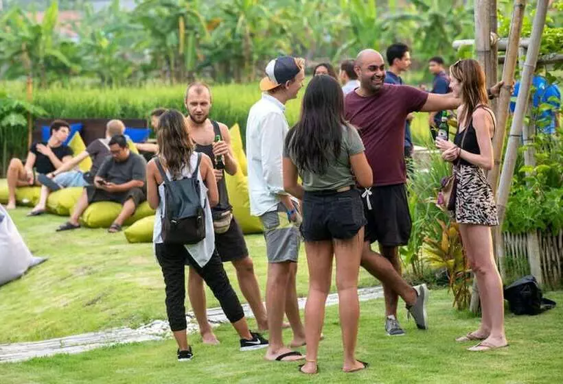 Draper Startup House For Entrepreneurs   Hostel