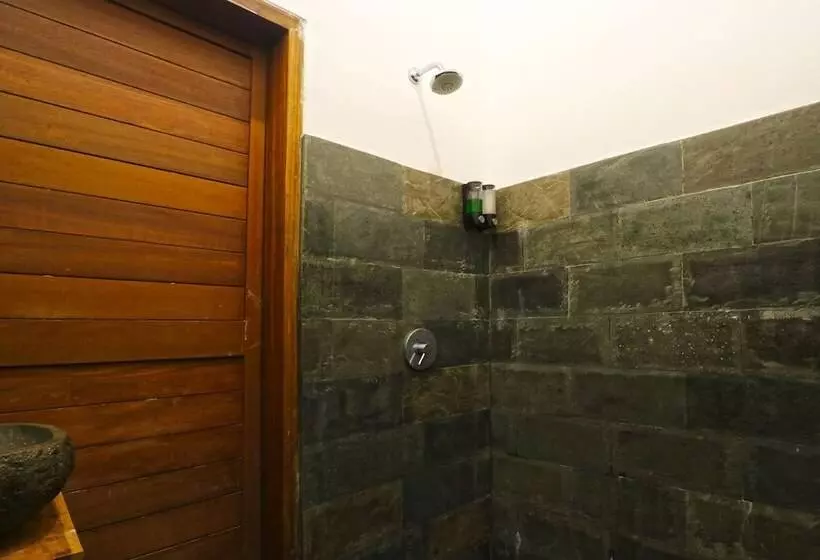 Draper Startup House For Entrepreneurs   Hostel