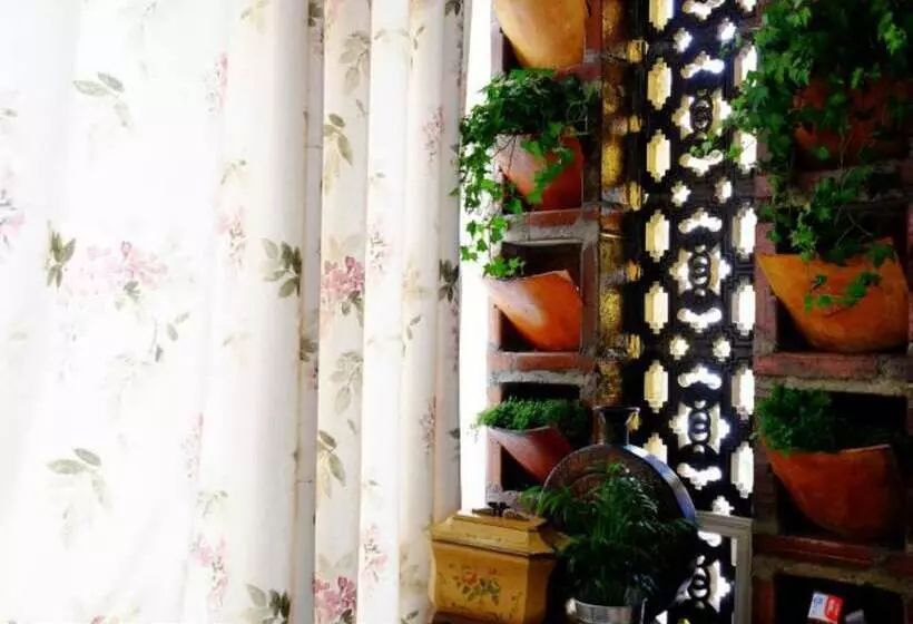 Majatalo Sharemood Guest House