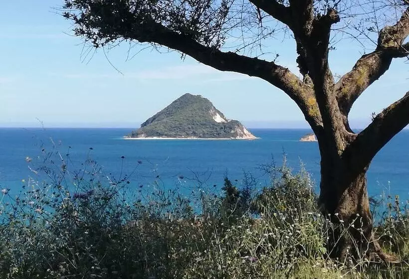 Villa Daizy Boutique Apartments