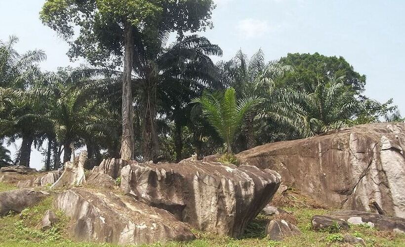 هتل Centre Touristique De Nkolandom