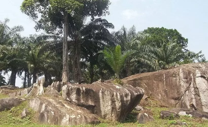هتل Centre Touristique De Nkolandom