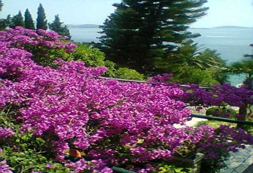 پانسیون Guest House Villa Nina