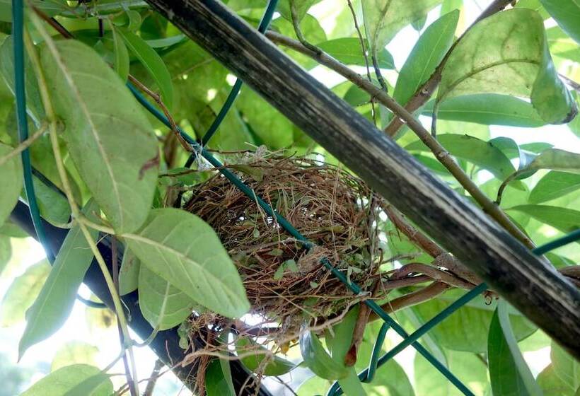 Пансион Manel Guesthouse