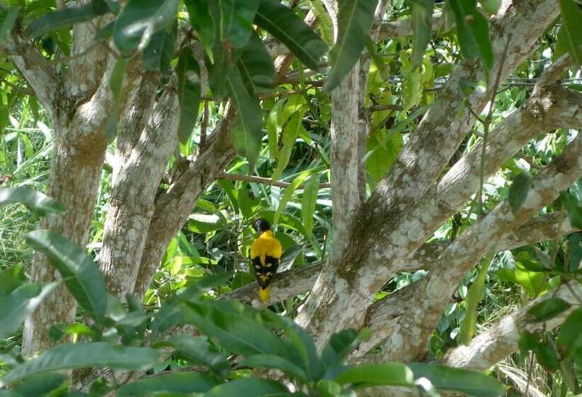 Пансион Manel Guesthouse