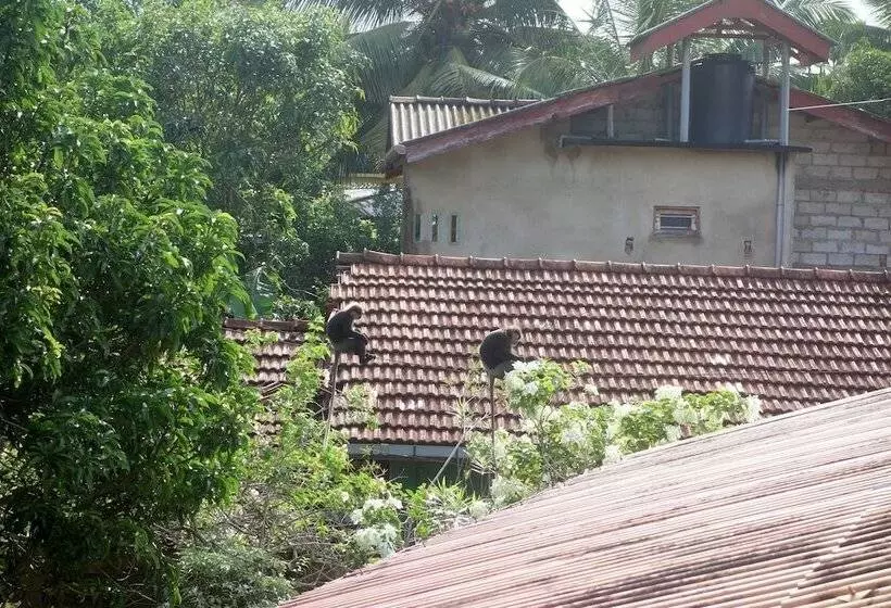 پانسیون Manel Guesthouse