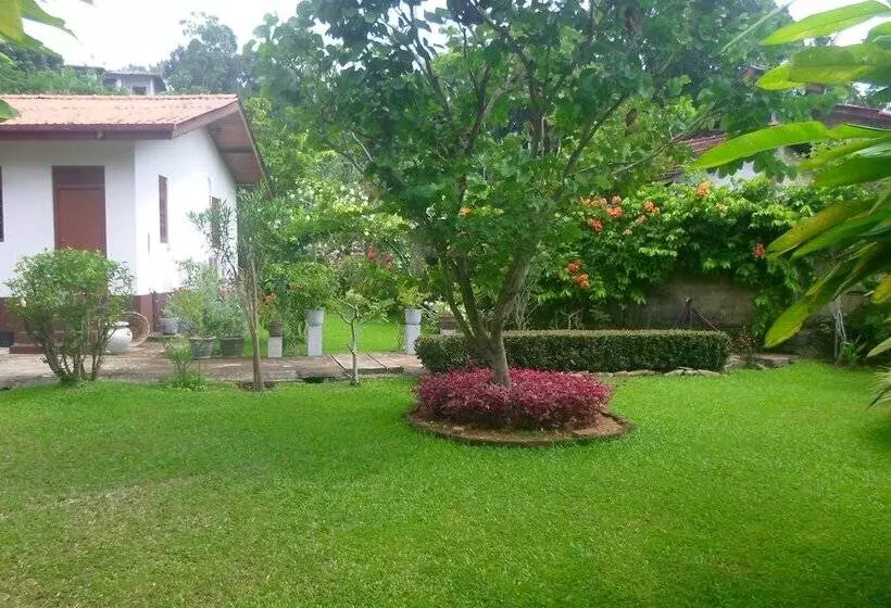 پانسیون Manel Guesthouse