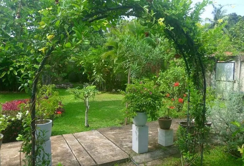 پانسیون Manel Guesthouse