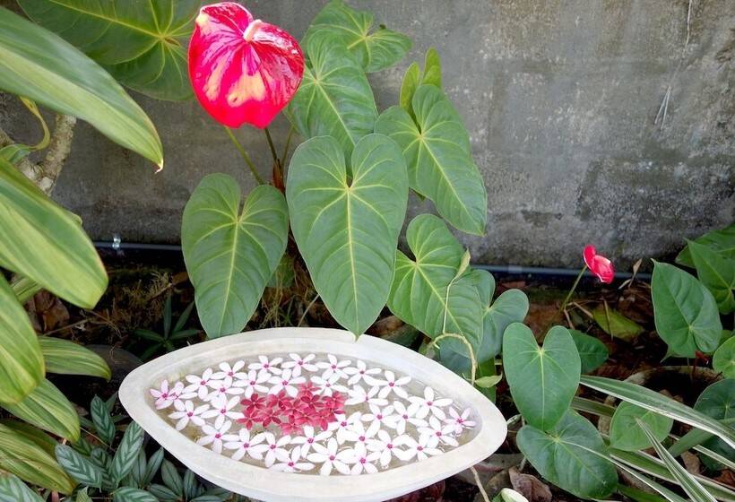 Пансион Manel Guesthouse