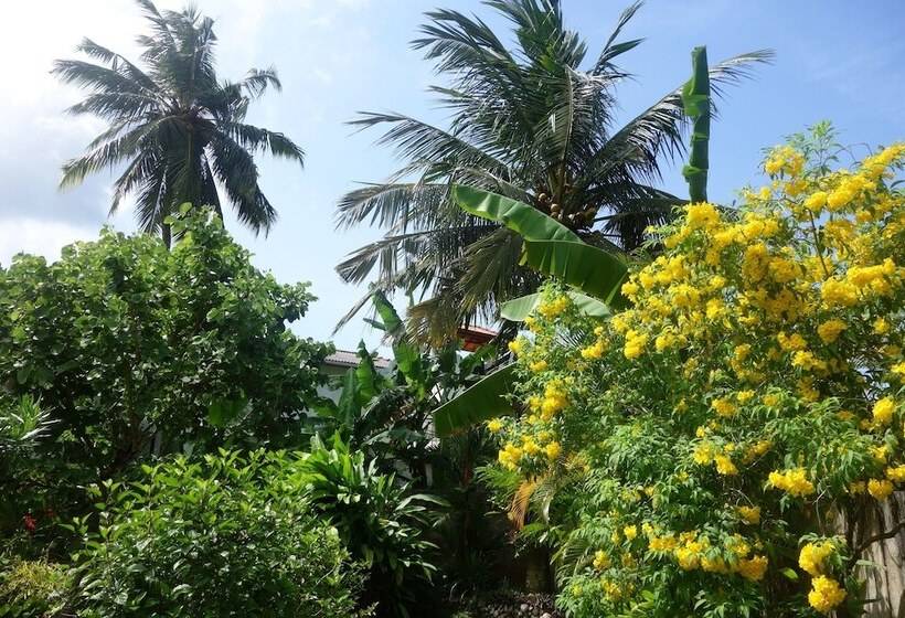 Пансион Manel Guesthouse