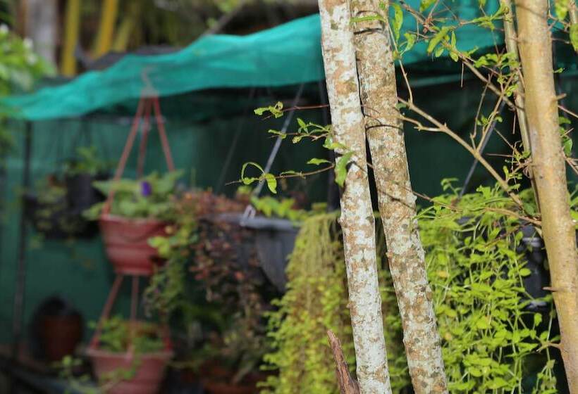 ペンション Osanda Guest