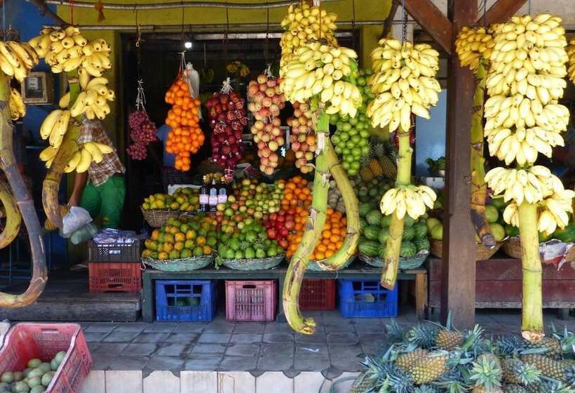 ペンション Osanda Guest