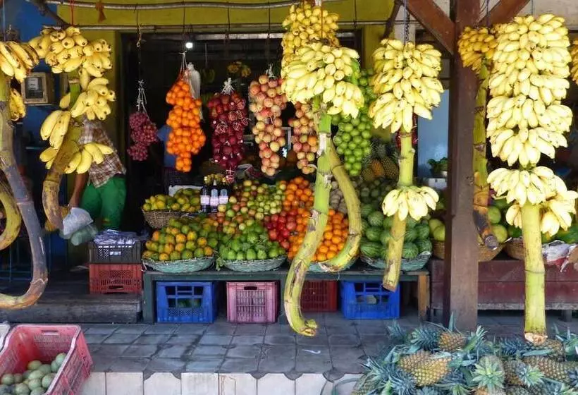 پانسیون Osanda Guest