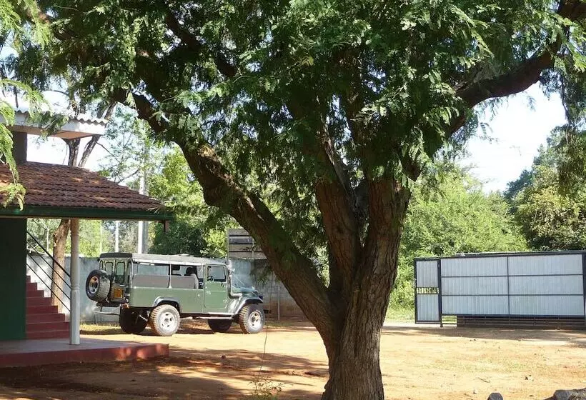 Majatalo Palugaha Pilgrim Resort