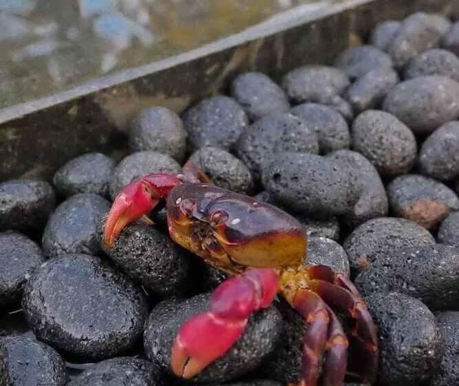 Majatalo Umadewi Surf & Retreat