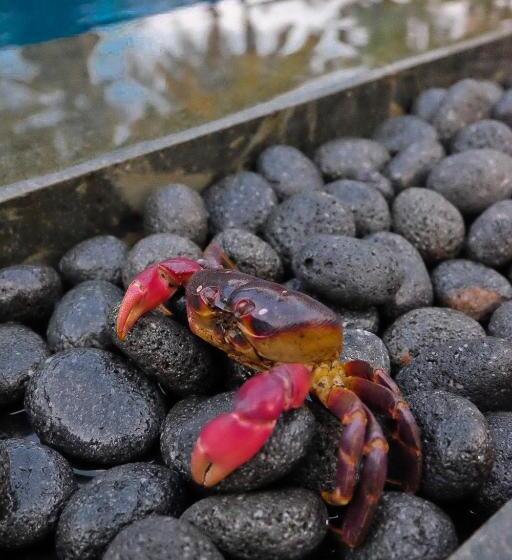 ペンション Umadewi Surf & Retreat