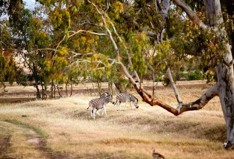Denneboom Vineyards And Wildlife