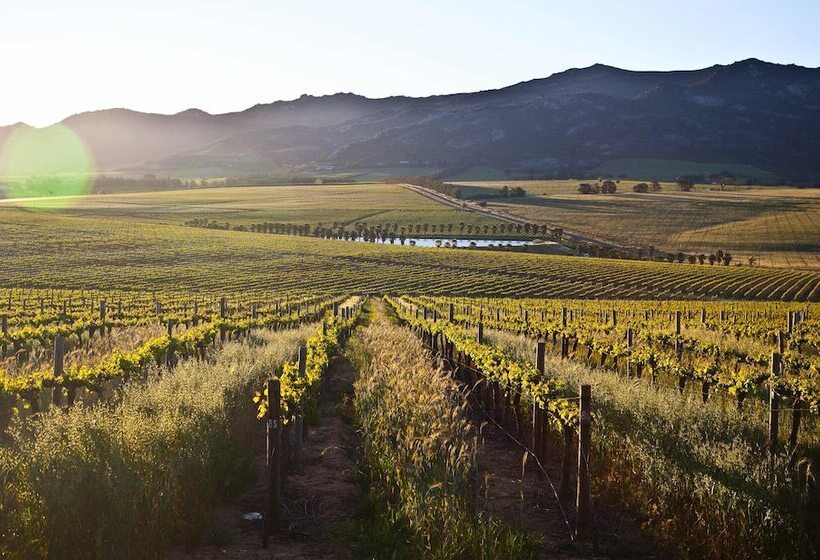 Denneboom Vineyards And Wildlife