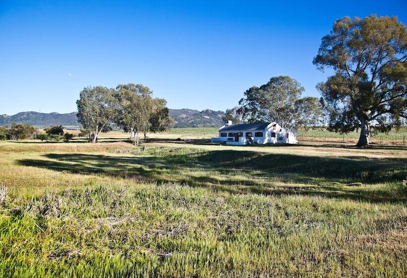 Denneboom Vineyards And Wildlife