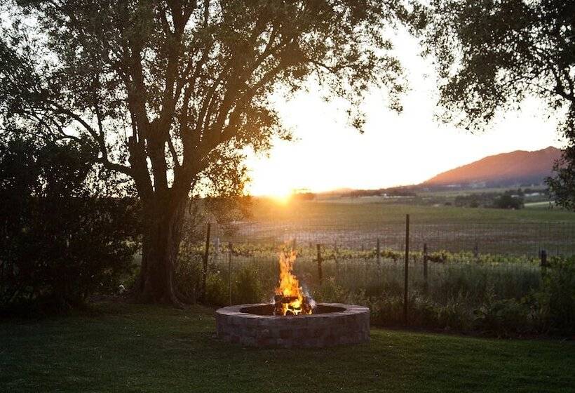 Denneboom Vineyards And Wildlife