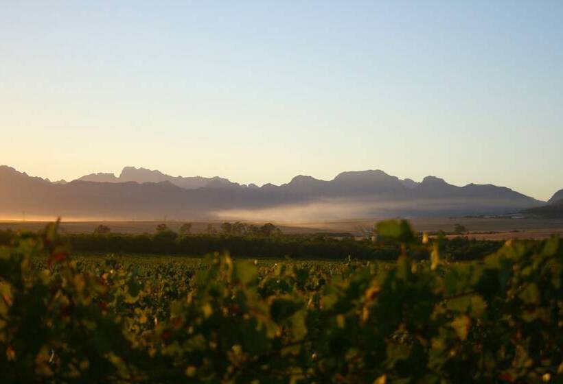 Denneboom Vineyards And Wildlife