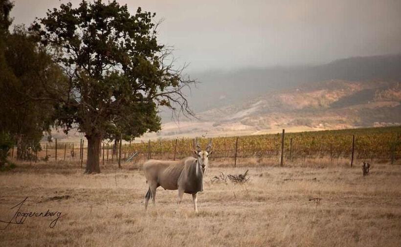 Denneboom Vineyards And Wildlife