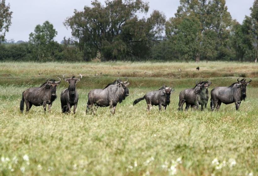 Denneboom Vineyards And Wildlife