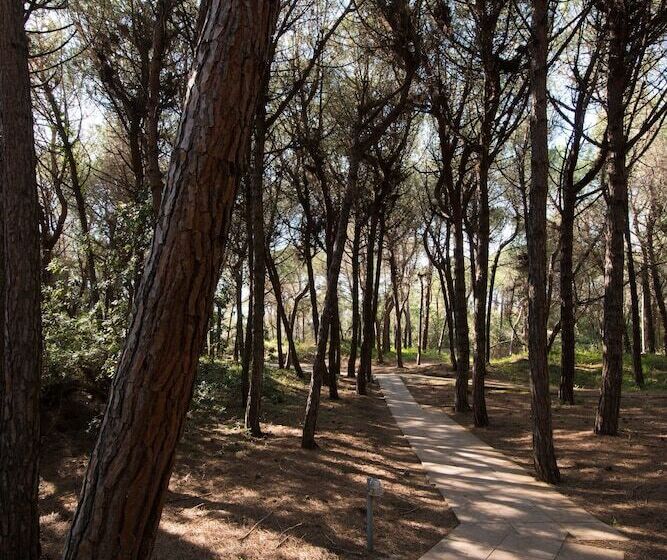 פונדק Csa Hotel Beach & Park