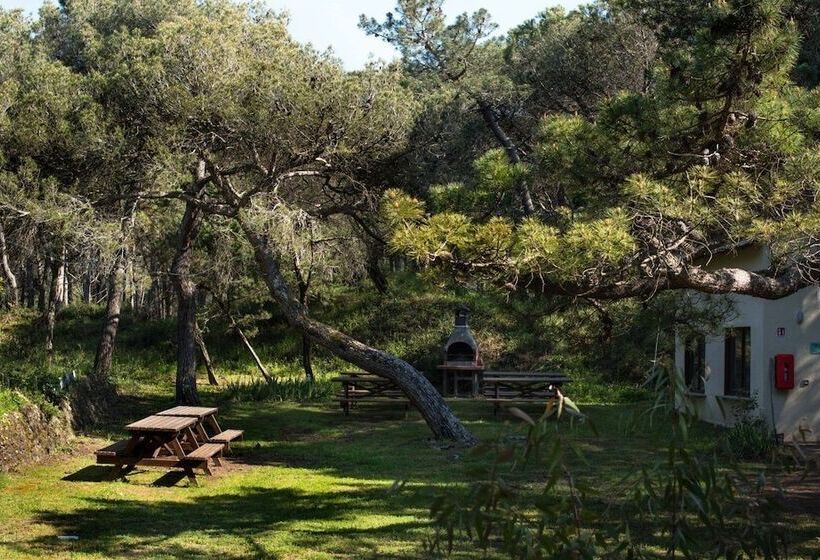 פונדק Csa Hotel Beach & Park