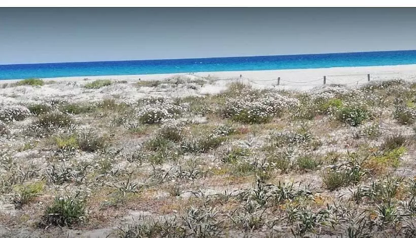 簡易ホテル Stella Marina Camere Sul Mare