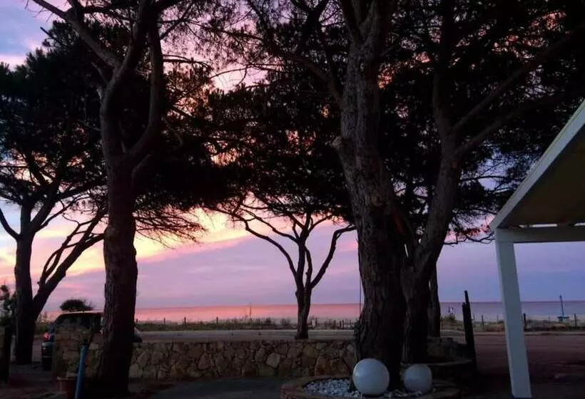 簡易ホテル Stella Marina Camere Sul Mare