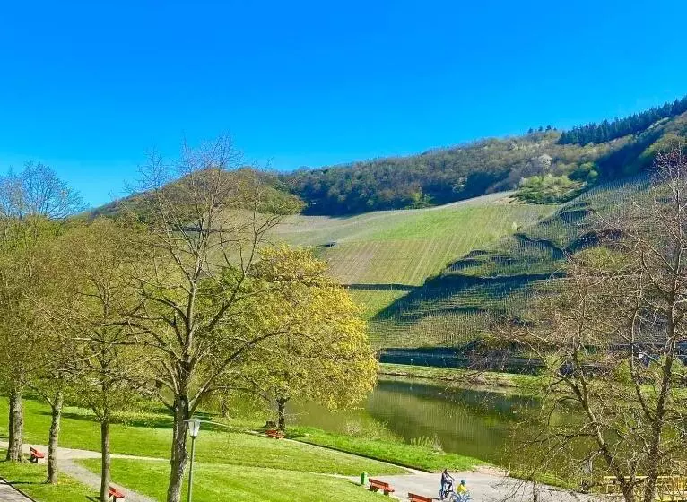 Hotelli Krone Riesling