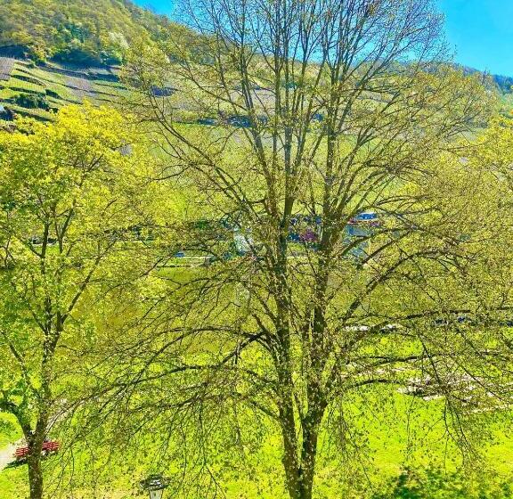 בית מלון כפרי Krone Riesling