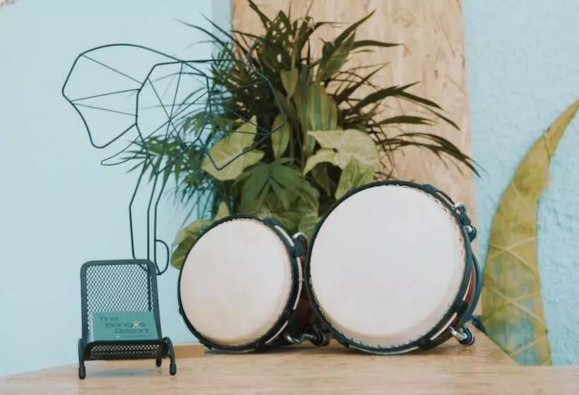 ホテル The Bongos   Socially Conscious Rooms, Part Of The Room Rate Goes To Charity