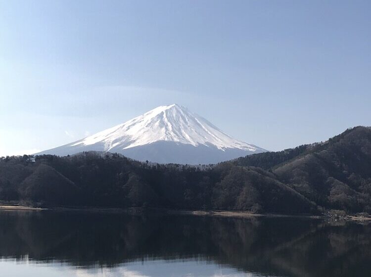 膳宿费 Forest Resort Cosmos