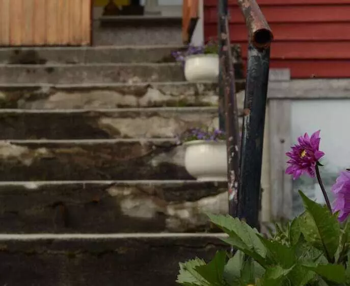 ベッドアンドブレックファースト Nigardsbreen Lodge