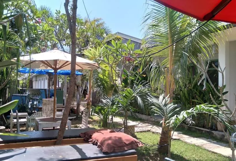 تختخواب و صبحانه Palm Trees Villas