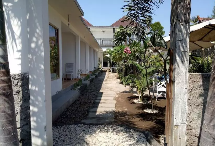 تختخواب و صبحانه Palm Trees Villas