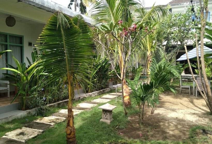 تختخواب و صبحانه Palm Trees Villas