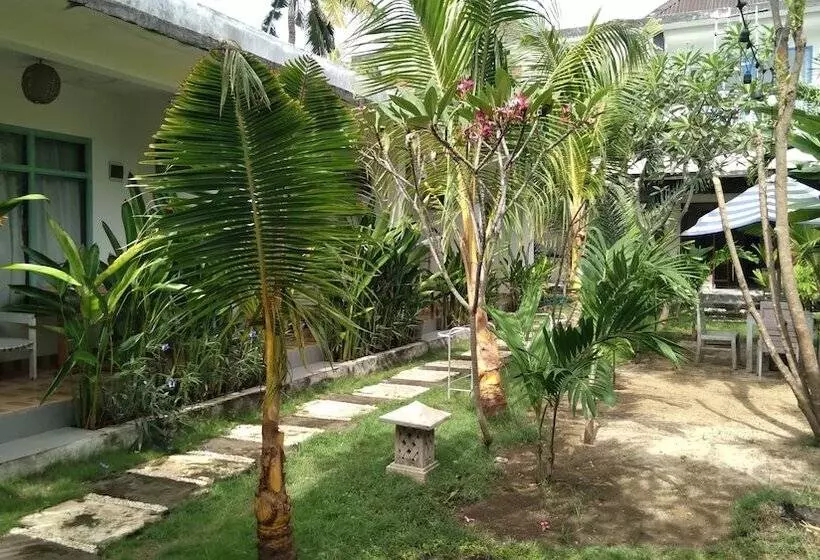 تختخواب و صبحانه Palm Trees Villas