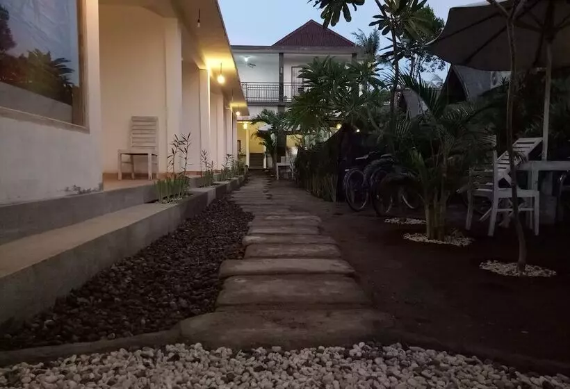 تختخواب و صبحانه Palm Trees Villas