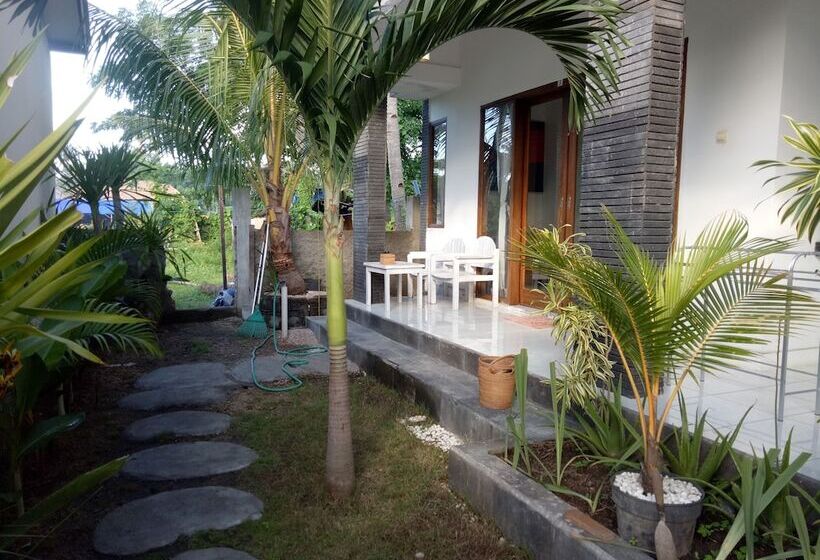 تختخواب و صبحانه Palm Trees Villas