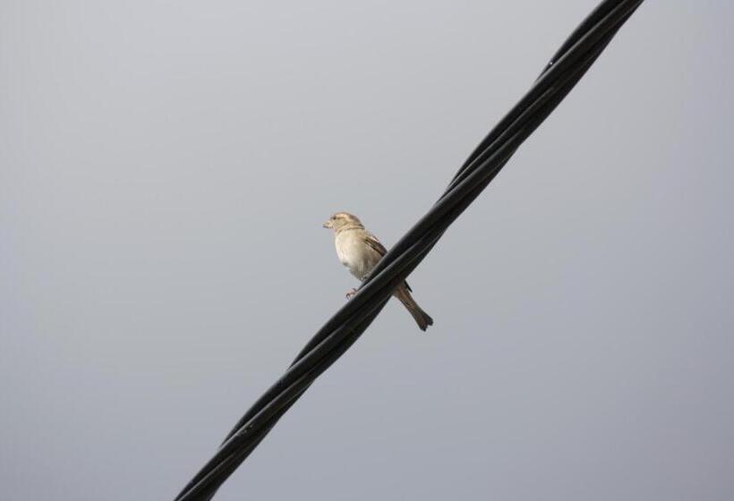 Casas De Pedra   Casa Da Avó