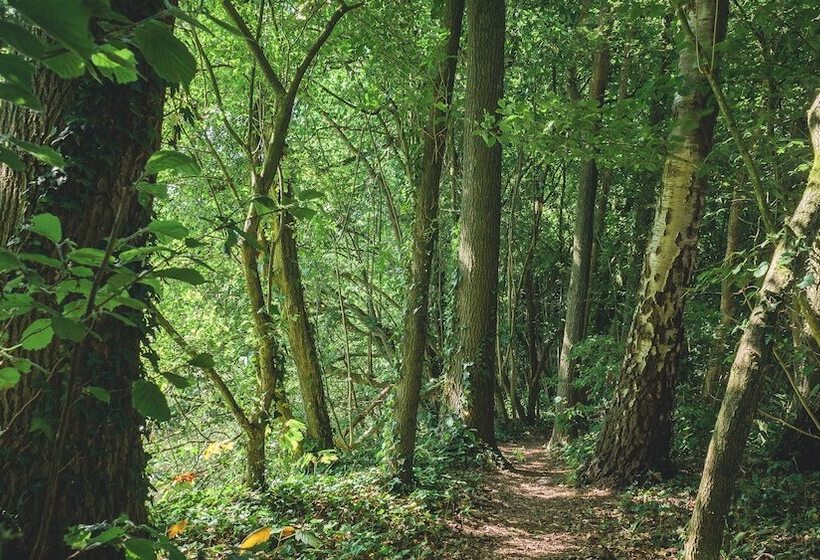 Hotel De Kastanjefabriek