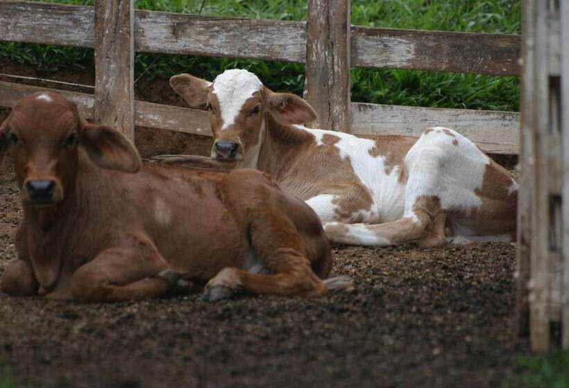 호텔 Fazenda Menino Da Porteira