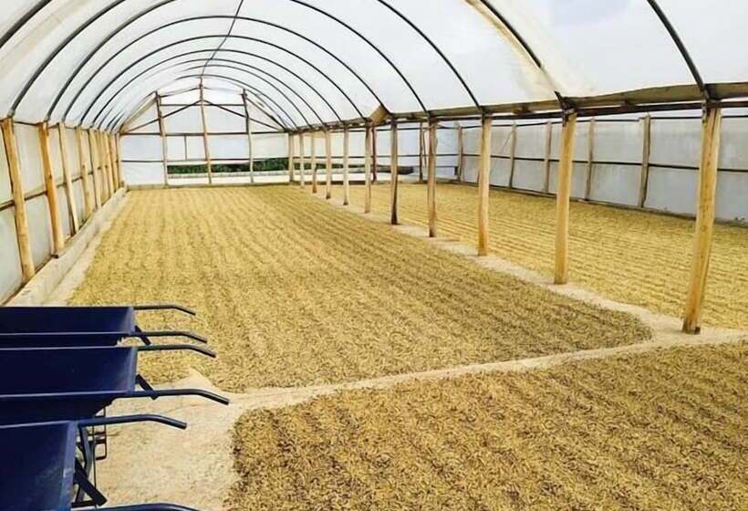 호텔 Fazenda Menino Da Porteira