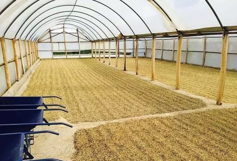 Hotelli Fazenda Menino Da Porteira